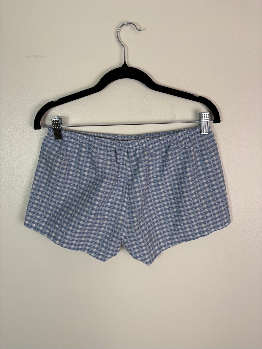 Brandi Melville Blue Gingham Shorts